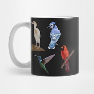 East Cost Birds Detailed Illustration Four Pack (Egret, Blue Jay, Hummingbird, Cardinal) Mug